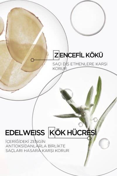 Genesis Bain Nutri-Fortifiant Dökülme Karşıtı Güçlendirici Şampuan 250 ml 250 ml