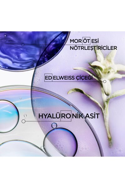 Blond Absolu Bain Ultra-Violet Turuncu Yansımaları Nötralize Eden Şampuan 250 ml 250 ml